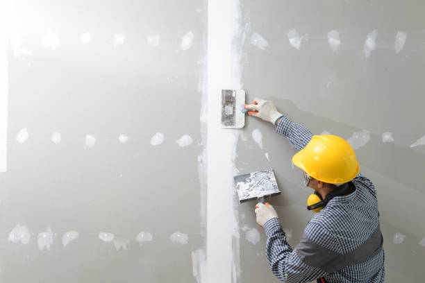 Best HVAC Mold Inspection and Cleaning  in Preston, MN