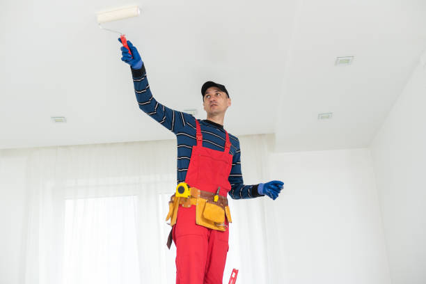 Professional Mold Removal in Preston, MN