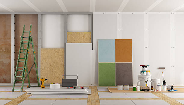Best Mold Odor Removal Services  in Preston, MN